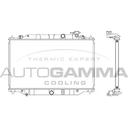 Радиатор охлаждения двигателя AUTOGAMMA 107273 SPZXE4 3853293 N2V BO