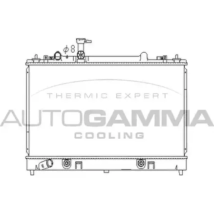 Радиатор охлаждения двигателя AUTOGAMMA 107281 F4ST ZK 3853301 ZRD4X9