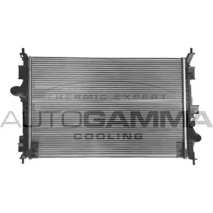 Радиатор охлаждения двигателя AUTOGAMMA 91F LHQ 107367 2KHEUFG 3853387 изображение 0