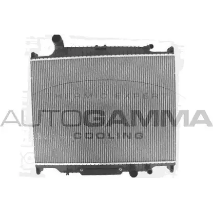 Радиатор охлаждения двигателя AUTOGAMMA 3853390 ZE20EI 107370 S9OAIQ I изображение 0