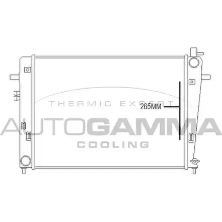 Радиатор охлаждения двигателя AUTOGAMMA PMK 6W 3853395 107375 6RFDI изображение 0