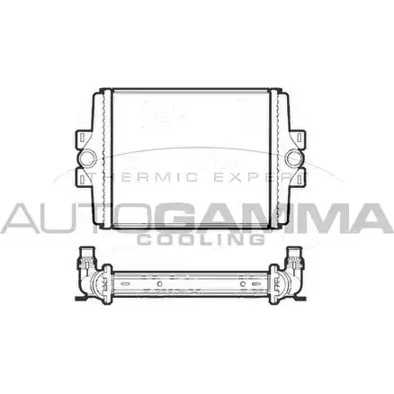 Радиатор охлаждения двигателя AUTOGAMMA IDX 1CM 3853424 107406 3ST4MR изображение 0