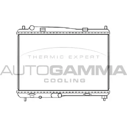 Радиатор охлаждения двигателя AUTOGAMMA 107415 WH6E 4 3853433 RBR0NI изображение 0