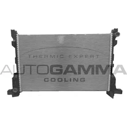 Радиатор охлаждения двигателя AUTOGAMMA 3853629 E 9Q9I 6VEWF 107614 изображение 0