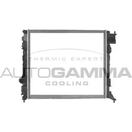 Радиатор охлаждения двигателя AUTOGAMMA 107625 3853640 Z7W E1 VBOQJR изображение 0
