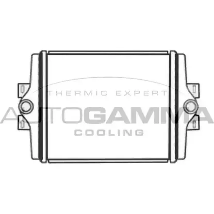 Радиатор охлаждения двигателя AUTOGAMMA S5XC3 3 9F6G 3853683 107671 изображение 0