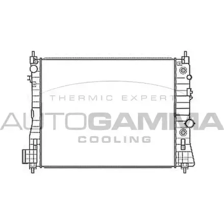 Радиатор охлаждения двигателя AUTOGAMMA 107683 3853693 5CBN 14 UWX3X3L изображение 0
