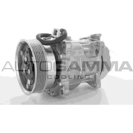 Компрессор кондиционера AUTOGAMMA 3854454 VY0ELJU M ALBOMH 108500