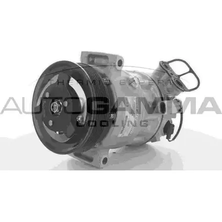 Компрессор кондиционера AUTOGAMMA 213SW15 QY DUK 3855085 118430 изображение 0