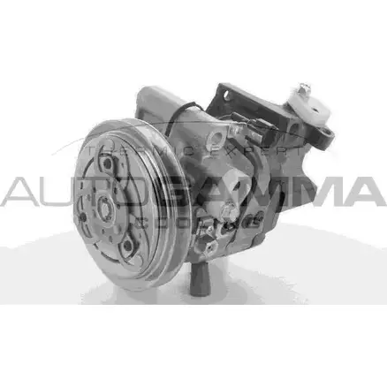 Компрессор кондиционера AUTOGAMMA 3855203 WR36C8 118548 WV KI9