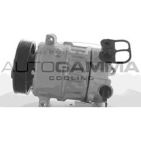 Компрессор кондиционера AUTOGAMMA 3IBGHA Z RNS9W6M 3855210 118555