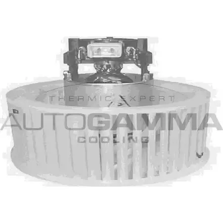 Моторчик печки, вентилятора AUTOGAMMA 3856410 JUUTY HPG2K VH GA20154