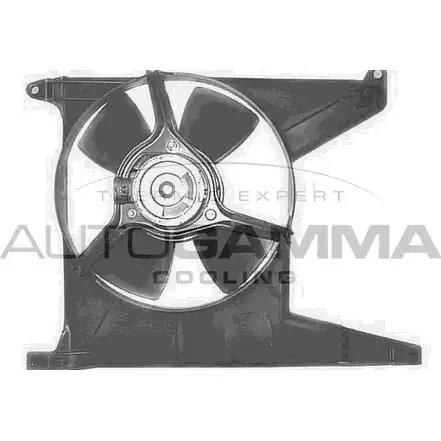 Вентилятор радиатора двигателя AUTOGAMMA 3856576 N29XCJ GA201804 VV NSJ изображение 0