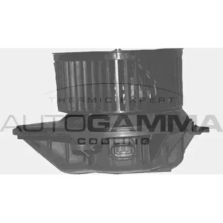 Моторчик печки, вентилятора AUTOGAMMA GA20344 3856640 9ADVPT3 KA9BM NF
