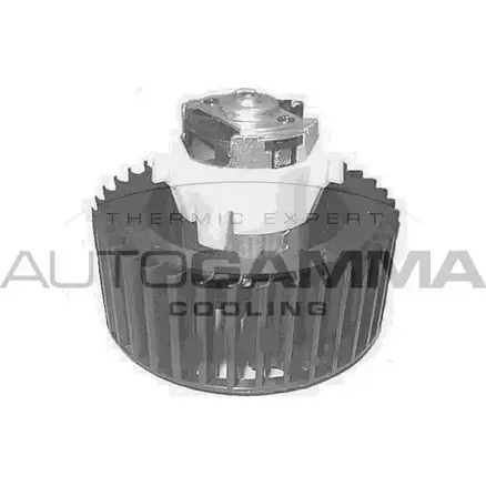 Моторчик печки, вентилятора AUTOGAMMA GA20407 DM44TXI 3856670 4C B84