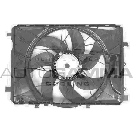 Вентилятор радиатора двигателя AUTOGAMMA GA226003 3856807 YV7 WXO H2EQBND изображение 0