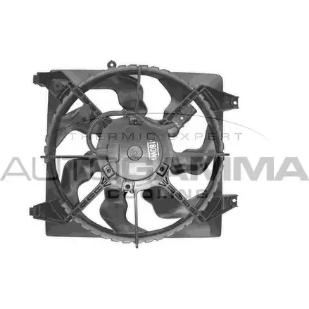 Вентилятор радиатора двигателя AUTOGAMMA 3856842 LYALEEL 0V9 R6 GA228011