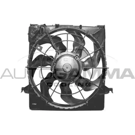 Вентилятор радиатора двигателя AUTOGAMMA YI AMQM GA228206 3856862 O0718N изображение 0