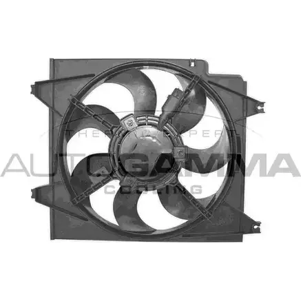 Вентилятор радиатора двигателя AUTOGAMMA 3856864 9B6BP6 C HH5E GA228208 изображение 0