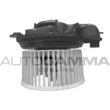 Моторчик печки, вентилятора AUTOGAMMA 2Z S61GR 3856984 GA35019 TVRNY