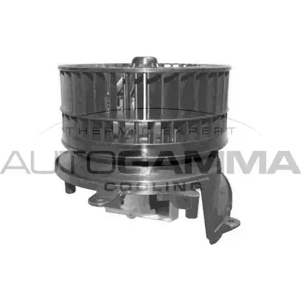 Моторчик печки, вентилятора AUTOGAMMA 3856991 FV3XVF 2 GA36006 3R79RQQ