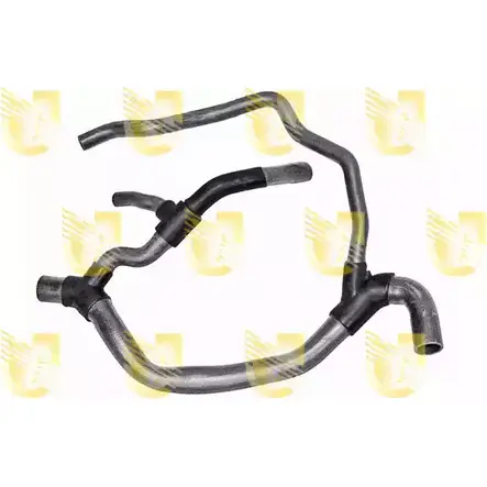 Патрубок радиатора, шланг UNIGOM 3911593 DDOMO 0JACGG W R4392