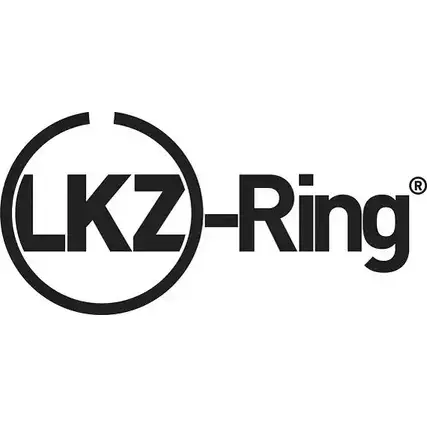 Поршневые кольца, комплект WILMINK GROUP DQZ2 Q 4041488 A9M4QV WG1096438