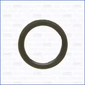 Уплотнительное кольцо, резьбовая пр WILMINK GROUP WG1158256 FN7FO 0C 66J 4055773 изображение 0