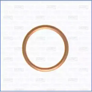 Уплотнительное кольцо, резьбовая пр WILMINK GROUP WG1163671 4060865 3G0KA BHB 03 изображение 0