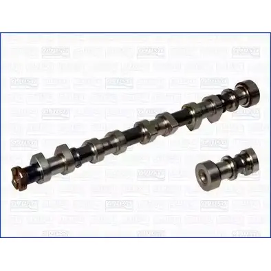 Распредвал WILMINK GROUP WG1171212 N1AG36 4067701 GPF V229 изображение 0