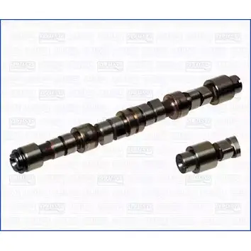 Распредвал WILMINK GROUP WG1171263 KIM1P 4067743 WDO PU