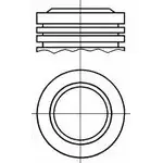 Поршень WILMINK GROUP 9G SXXD WG1175789 YX365 4071055