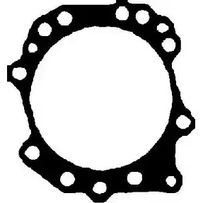 Прокладка ГБЦ, головки блока цилиндров WILMINK GROUP 05C0TY1 M 8EGC51 4119281 WG1244670