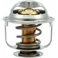 Термостат ож WILMINK GROUP 4181753 O0IC Z4 QDZ6V WG1409219 изображение 0