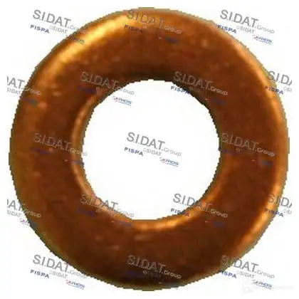 Уплотнительное кольцо вала форсунки SIDAT TR DCJ 273194 81054 изображение 0