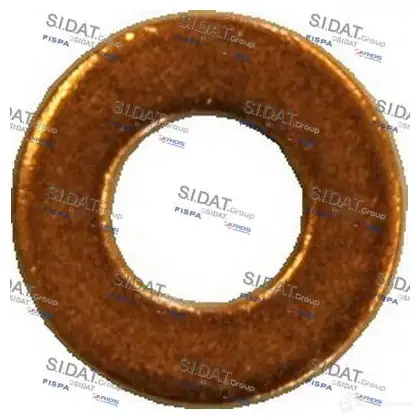 Уплотнительное кольцо вала форсунки SIDAT 81058 3P0H8Q W 273198 изображение 0