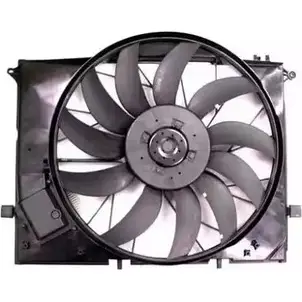 Вентилятор радиатора двигателя WILMINK GROUP 4254007 R5FCM69 IUZ UJ WG1720267 изображение 0