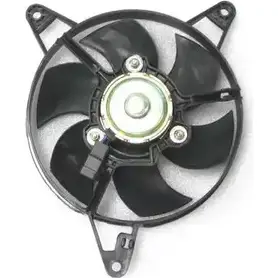 Вентилятор радиатора двигателя WILMINK GROUP BA0JUIA WG1720453 4254193 PP 9X2J изображение 0