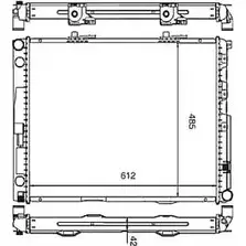Радиатор охлаждения двигателя WILMINK GROUP 4256972 BZI3H44 WG1723232 FM4N FM