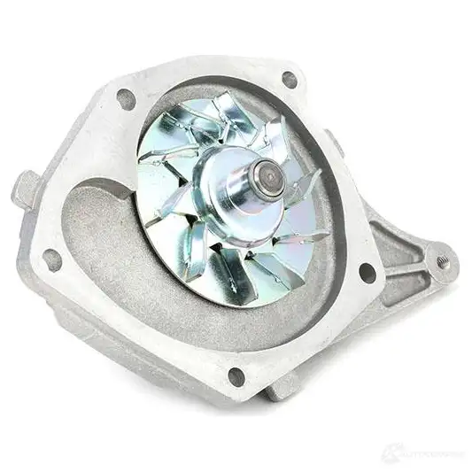 Комплект ремня ГРМ с помпой SKF VKN 1004 VKMA 06134 VKMC 06134-1 597170 изображение 1