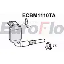 Катализатор EUROFLO ECBM1110TA 18307 796617 4347076 322455 изображение 0