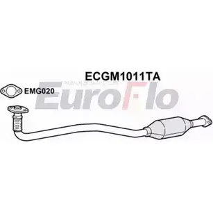 Катализатор EUROFLO 4348052 B M80040H ECGM1011TA OPC7019H