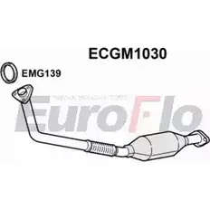 Катализатор EUROFLO ECGM1030 4348081 380086 098-58 6 изображение 0