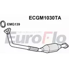Катализатор EUROFLO 4348082 099-443 ECGM1030TA 090-11 9 изображение 0
