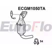 Катализатор EUROFLO ECGM1050TA 090 -416 4348108 21769D изображение 0