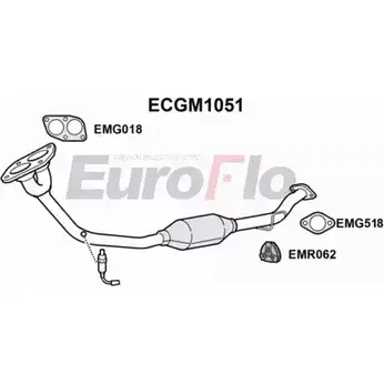 Катализатор EUROFLO 4348109 098 -037 ECGM1051 5854299 изображение 0