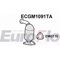 Катализатор EUROFLO ECGM1091TA 21763D 4348144 090-4 62 изображение 0