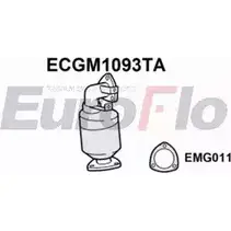 Катализатор EUROFLO 13106917 090-10 4 4348145 ECGM1093TA изображение 0