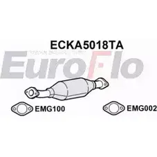 Катализатор EUROFLO 4348543 ECKA5018TA 25100D 090-5 81 изображение 0
