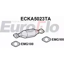 Катализатор EUROFLO 4348549 289 504X900 BM80407H ECKA5023TA изображение 0